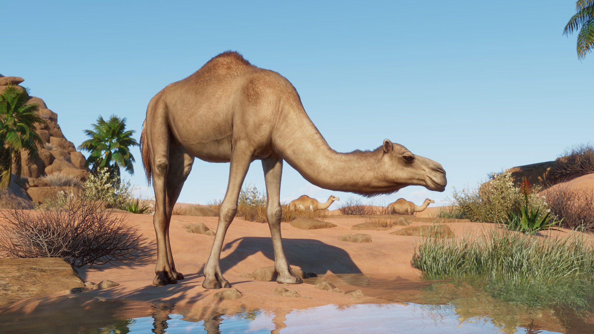Game screenshot 1