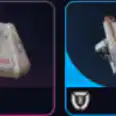 20 Medium Shield 20 Looting MK.3 Survivor Augment
