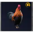 all 6x benches max lv 1+2+3 Scrappy the Rooster lv 1-5 Workshop Upgrade Workbench All Materials Station Material Bundles