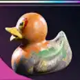 2.1M coin/ducks
