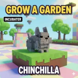 ⭐Chinchilla⭐
