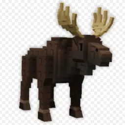 ⭐Moose⭐
