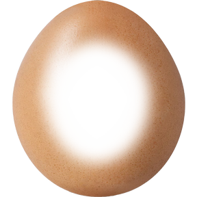 Egg avatar decoration | 🔥Cheap Decoration $4.99