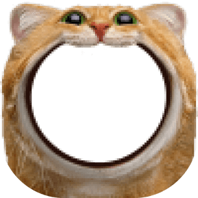 Nom Kitty avatar decoration | 🔥Cheap Decoration $4.99