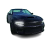 Muscle B