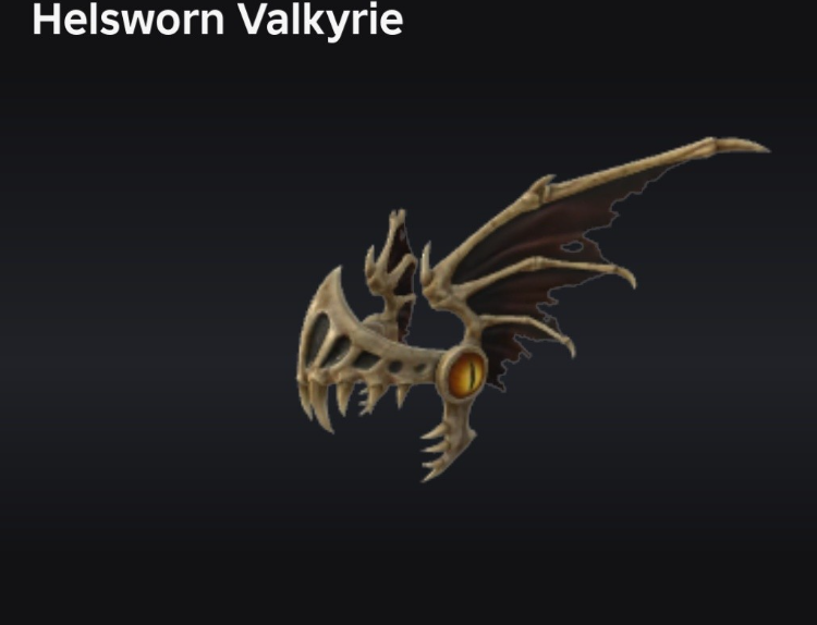 Helsworn Valkyrie