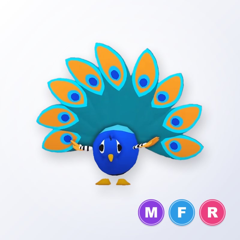 Peacock MFR | Adopt Me