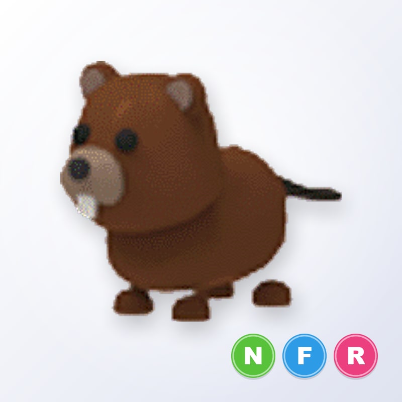 Beaver NFR | Adopt Me