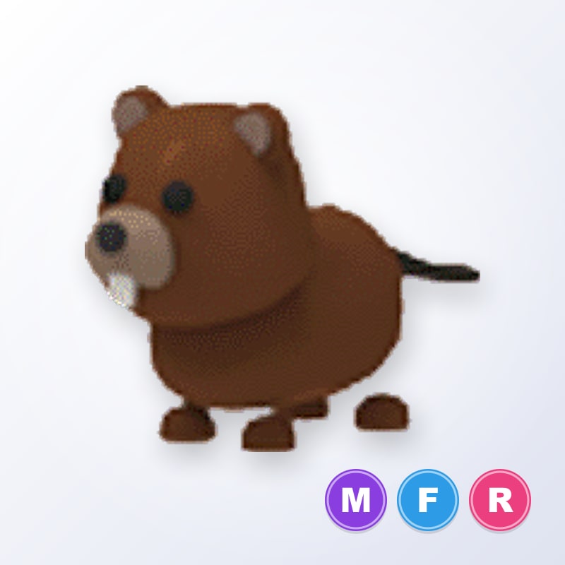 Beaver MFR | Adopt Me