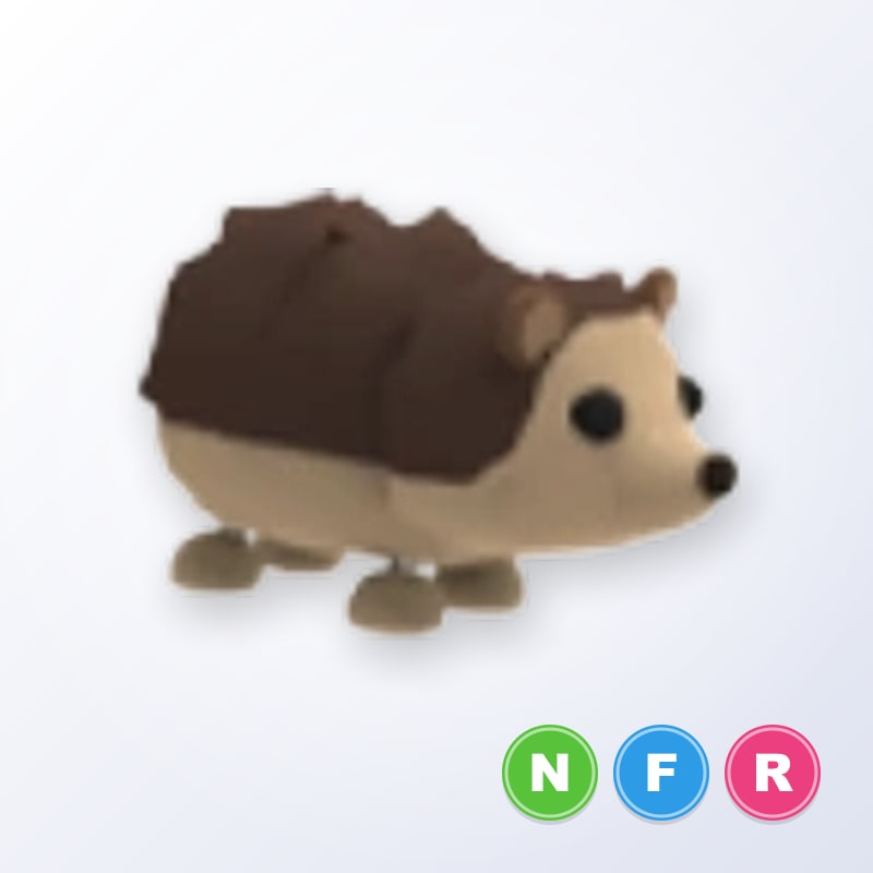 Hedgehog NFR | Adopt Me