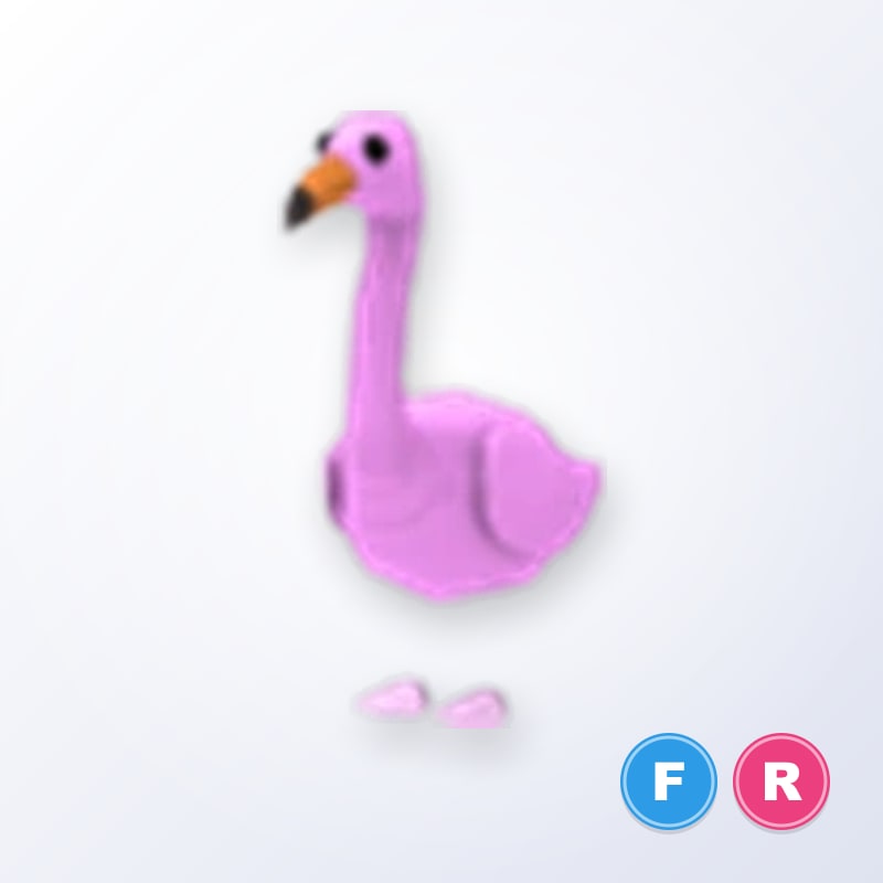 Flamingo FR | Adopt Me