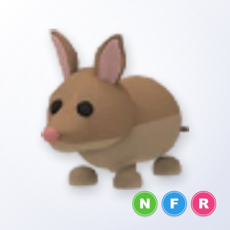 Bandicoot NFR | Adopt Me