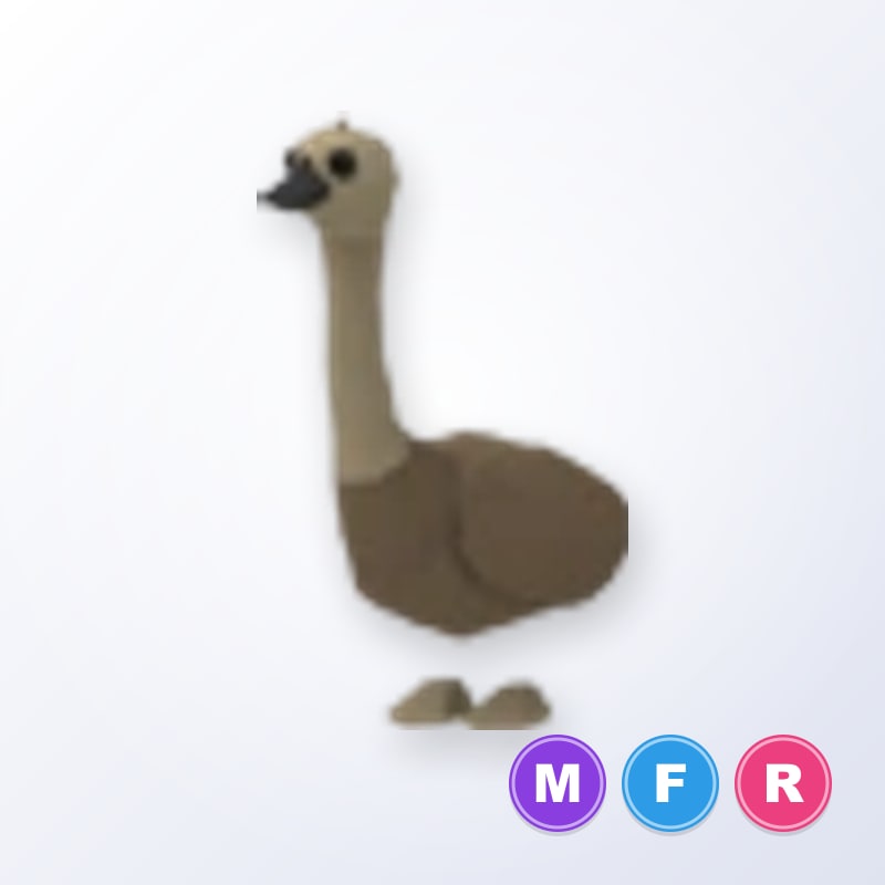 Emu MFR | Adopt Me