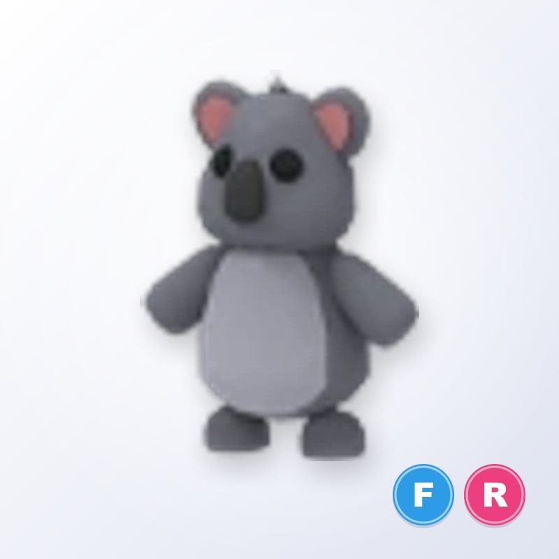 Koala FR | Adopt Me