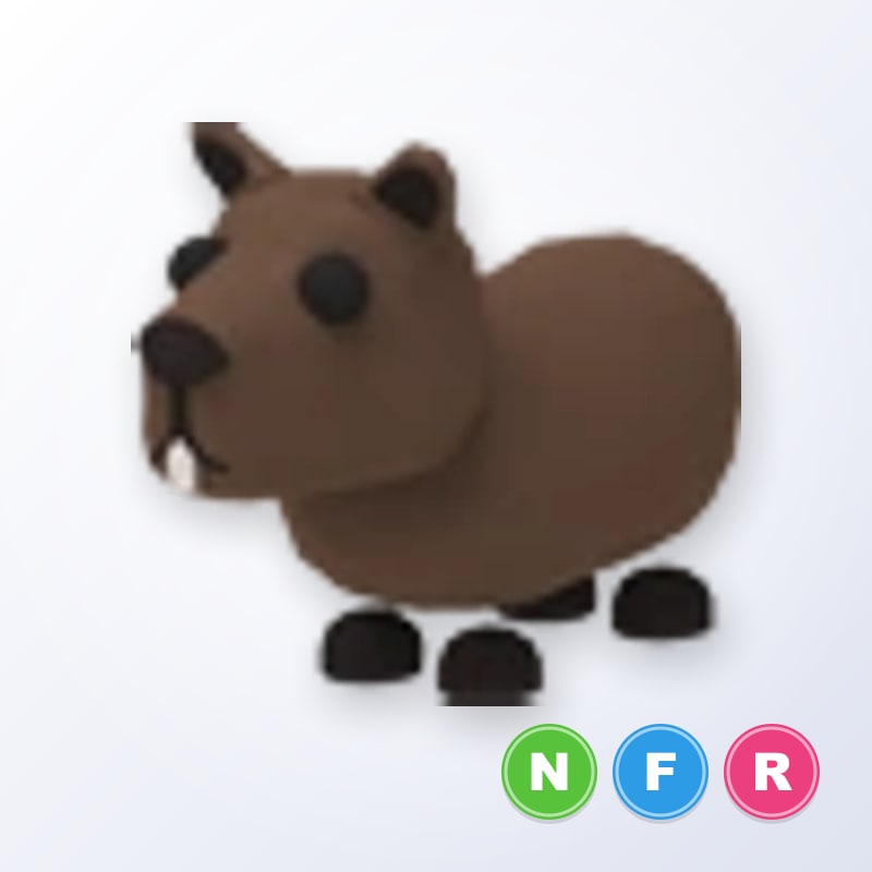 Capybara NFR | Adopt Me