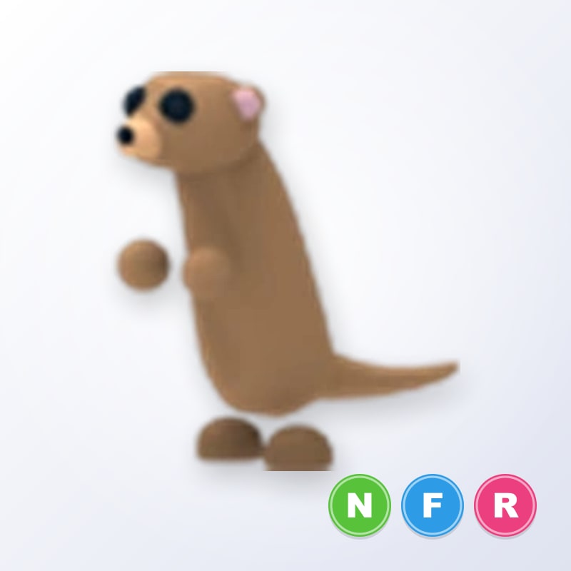 Meerkat NFR | Adopt Me