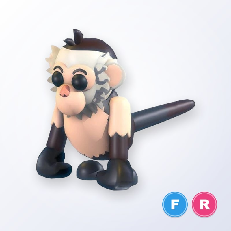 Capuchin Monkey FR | Adopt Me