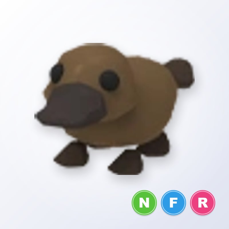 Platypus NFR | Adopt Me