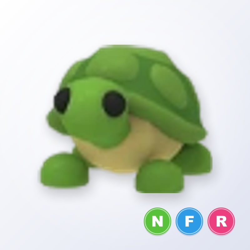TURTLE NFR