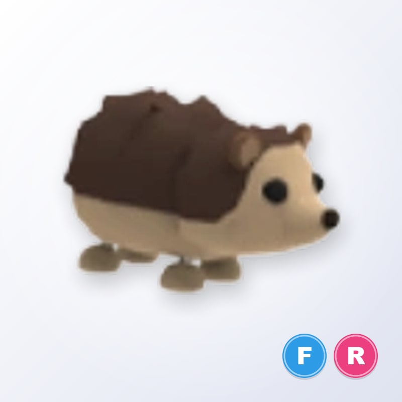 Hedgehog FR