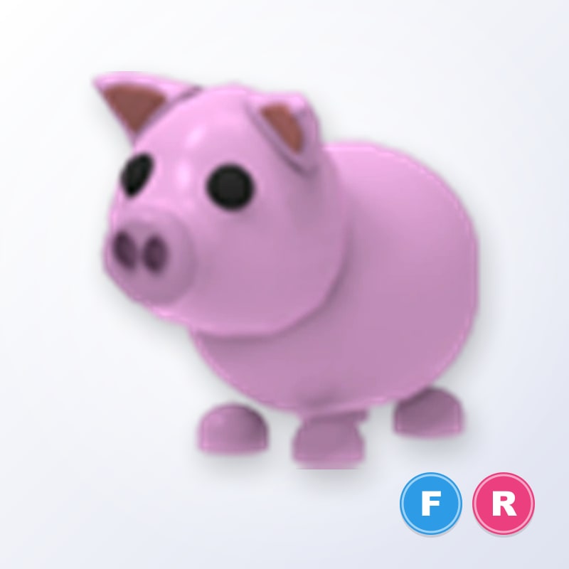PIG FR