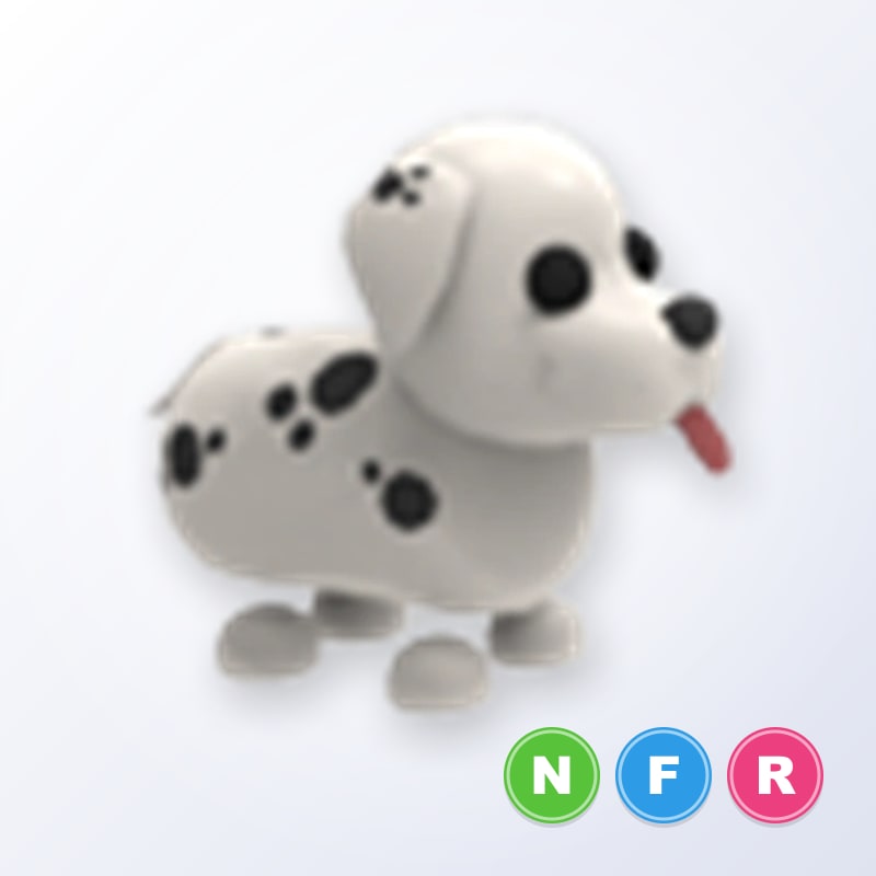 NFR Dalmatian