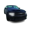 Muscle B