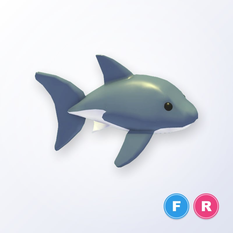 🟡 Shark FR |🟡 Shark FR (Sharks) Sharky / Sharki 🟡Shark FR🟡Sharko*