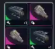10 Wolfpack + 20 Snitch Scanner