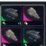 5 Wolfpack + 10 Snitch Scanner
