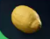 ☀️10x Lemon☀️