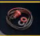 ☀️150x Rubber Parts☀️