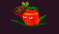 +16 Kg Random Commando Apple