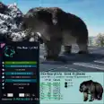 Dire Bear Adult Pair LVL 362 🔥100% IMPRINT🔥 [BLACK] PVE Crossplay + Saddles 124 armor