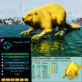 Castoroides Adult Pair 362 LVL - 🔥100% IMPRINT🔥 [Choose a color] PVE + Saddles 124 armor