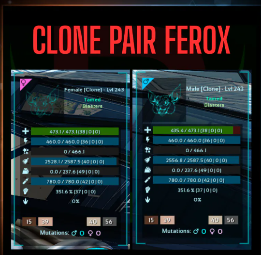 PVE Official ARK ASA PC/XBOX/PS5 - Ferox Clone Pair