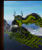 PVE Official ARK ASA PC/XBOX/PS5 - Snow Owl Top Stats - Baby Pair