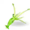 Tusoteuthis, Top stats, Attached pictures-pve