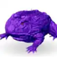 Beelzebufo, Top stats, Attached pictures-pve