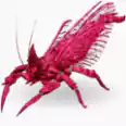 Official PVE Lv361 Rhynio 100% Imprinting Stats: HP9305 ST840 WE2085 DMG1892% come with saddle