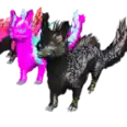 Official PVE Lv361 Veilwyn Color pack -100%Imprning stats: HP7920 DMG1529.7% - PAIR OF EACH COLOR