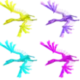 Official PVE Tek Quetzal Pair 100%Imprinting Stats :HP23070 ST800 WE3283 DMG796% RANDOM COLOR DELIVERY