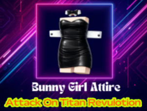 Bunny Girl Attire