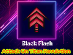 ⏫💥 Black Flash +10💥⏫ Fast Delivery🚚Bushidol2️⃣6️⃣9️⃣'s Store