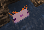 Blue Axolotl