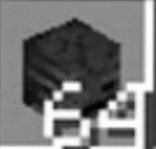 64x WITHER SKULL (1 stack)