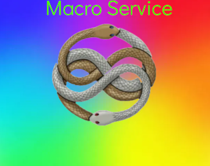 Macro Service (24 Hours)