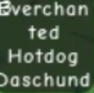 Everchanted Hotdog Daschun 280KG | Age 500