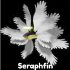 Seraphfin | Divine Secret ( 1 in 250,000 )