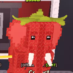 Strawberry Elephant 500M/S
